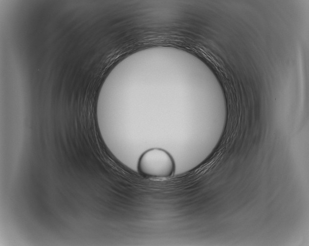 X0000111440096200907131029