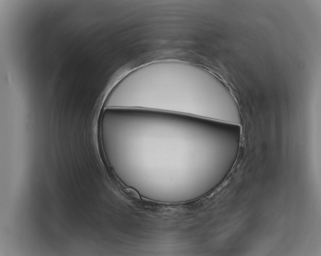 X0000111440099200907131029