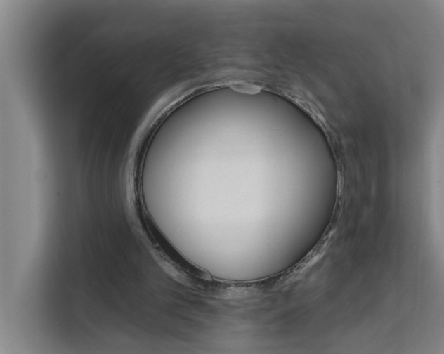 X0000111440101200907131029