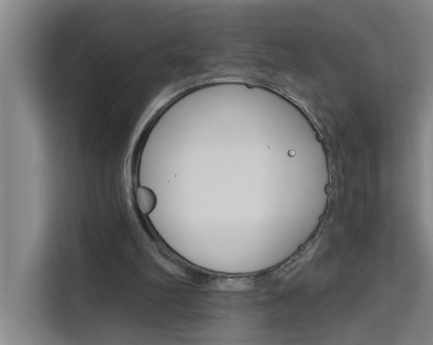 X0000111440102200907131029