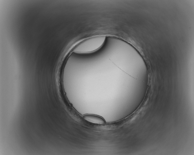 X0000111440103200907131029