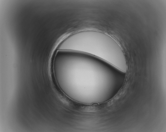 X0000111440104200907131029