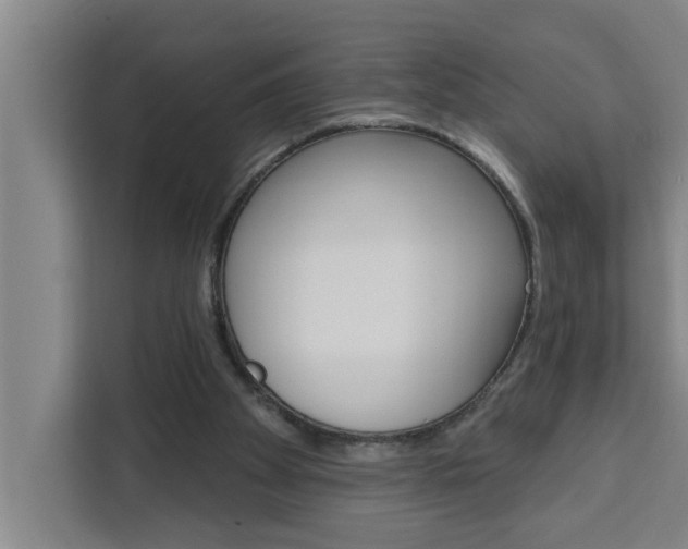 X0000111440105200907131029