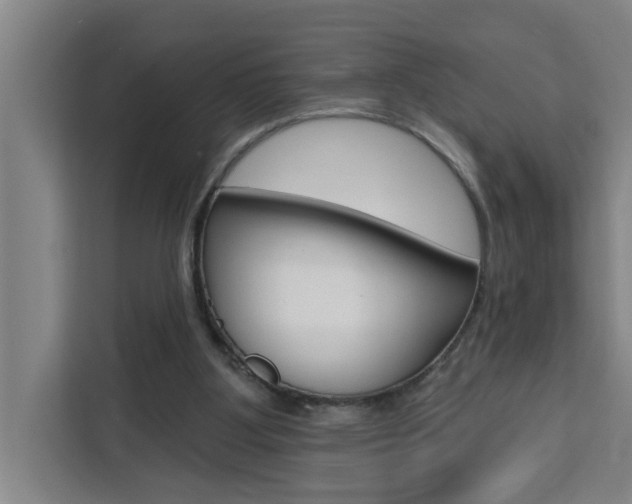 X0000111440107200907131029