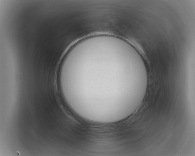 X0000111440108200907131028