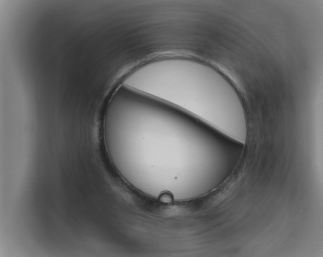 X0000111440111200907131028