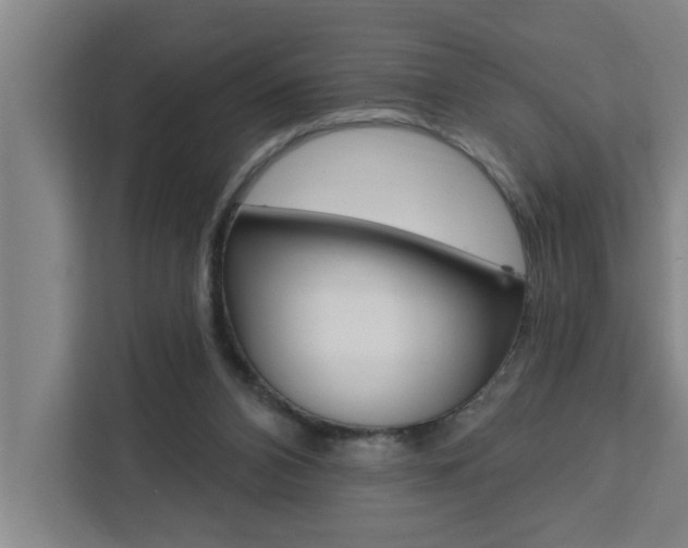 X0000111440112200907131028