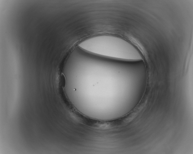 X0000111440113200907131028