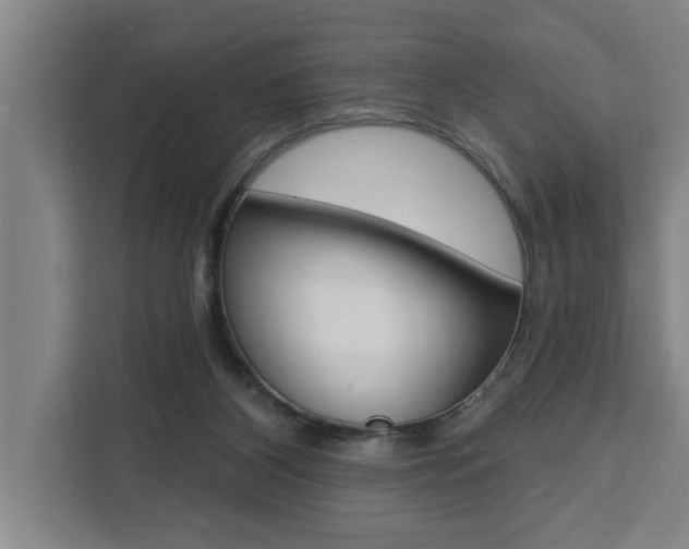 X0000111440116200907131028