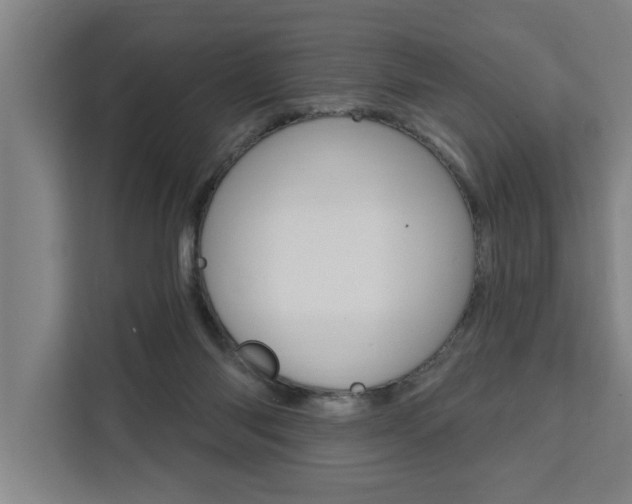 X0000111440118200907131028