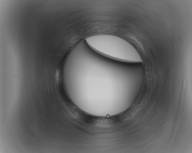 X0000111440123200907131028
