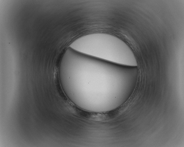 X0000111440125200907131028
