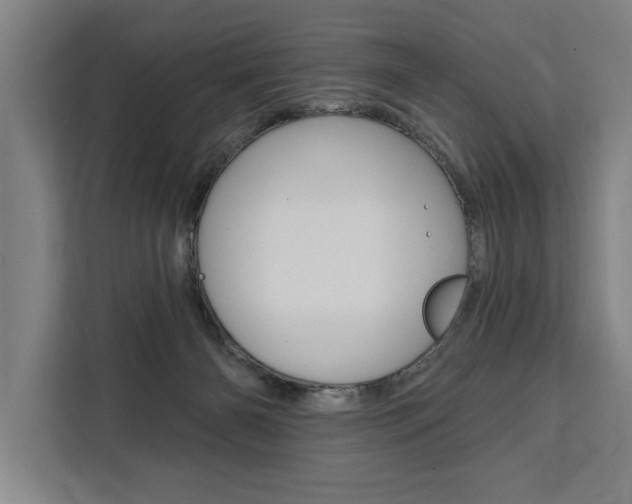 X0000111440126200907131028