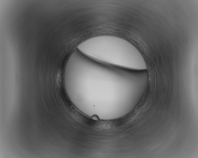 X0000111440127200907131028
