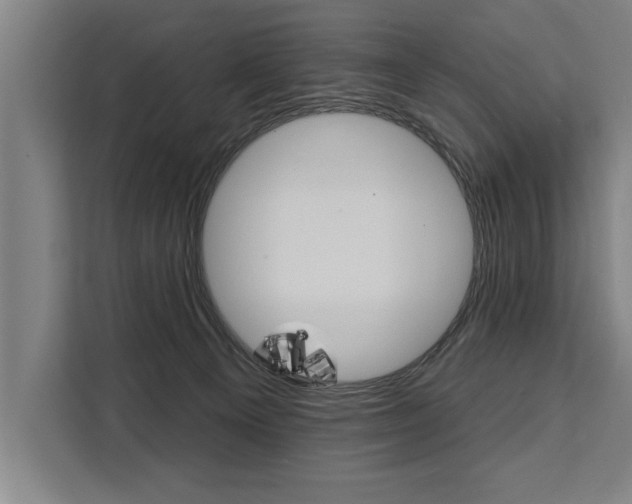 X0000111440129200907131028
