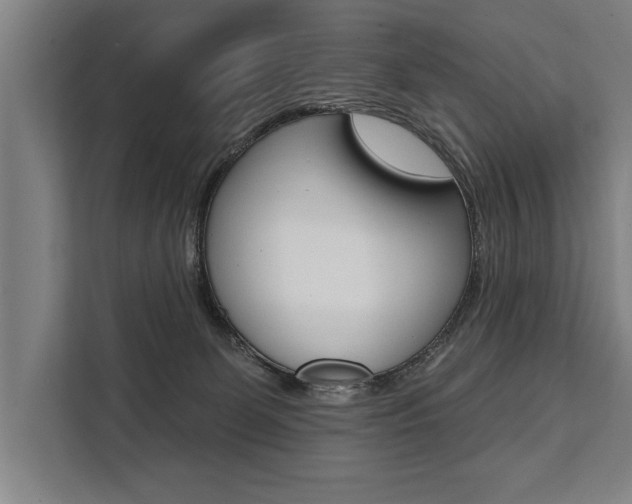 X0000111440131200907131028