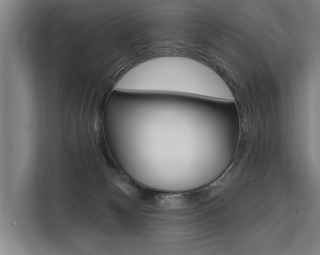 X0000111440132200907131028