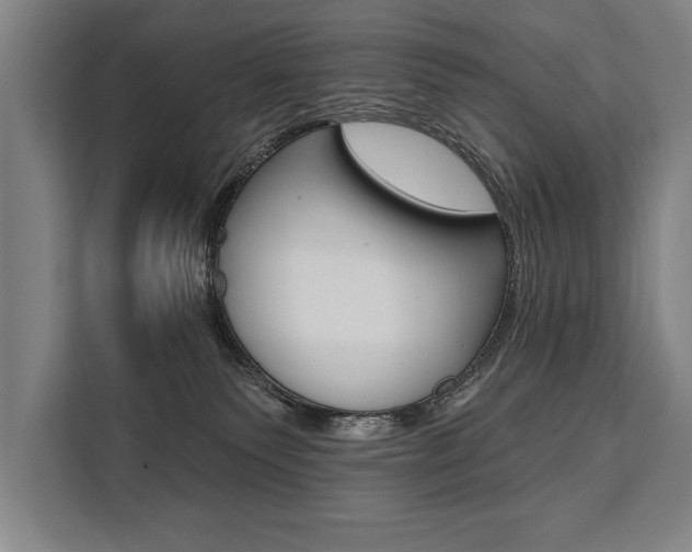 X0000111440135200907131028