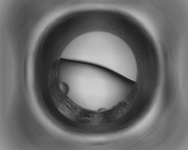 X0000111440143200907131028