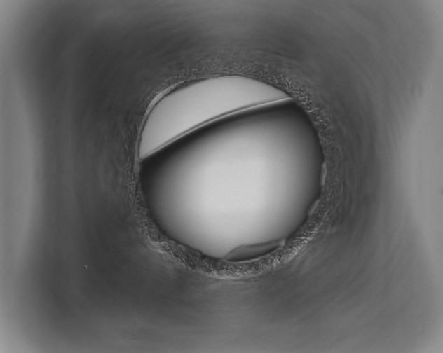 X0000111440144200907131028