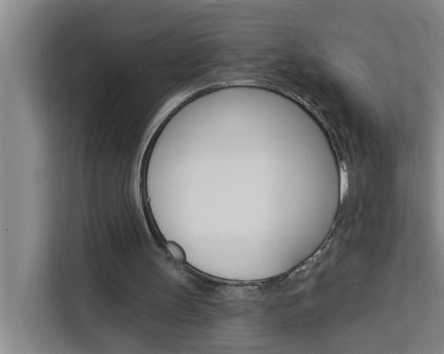 X0000111440147200907131027