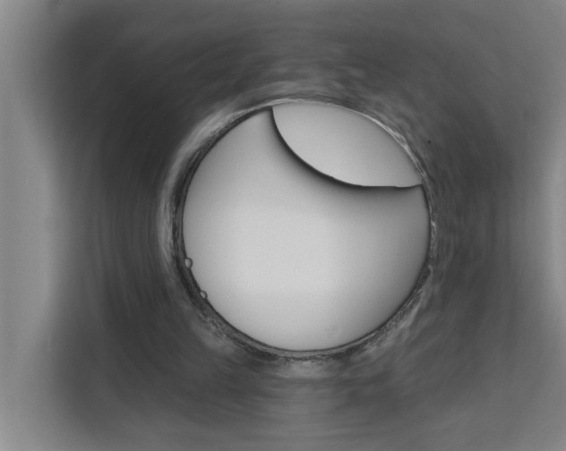 X0000111440149200907131027