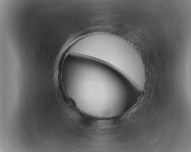 X0000111440150200907131027
