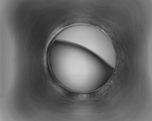 X0000111440152200907131027
