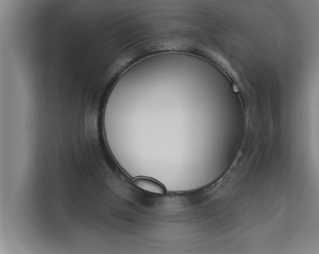 X0000111440154200907131028