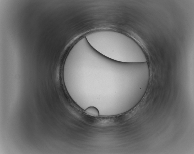 X0000111440155200907131028