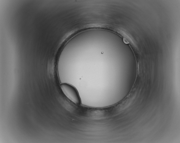 X0000111440156200907131028