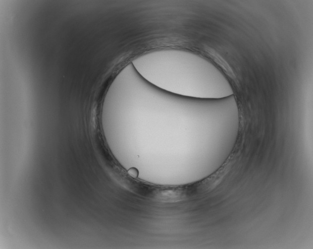 X0000111440163200907131028