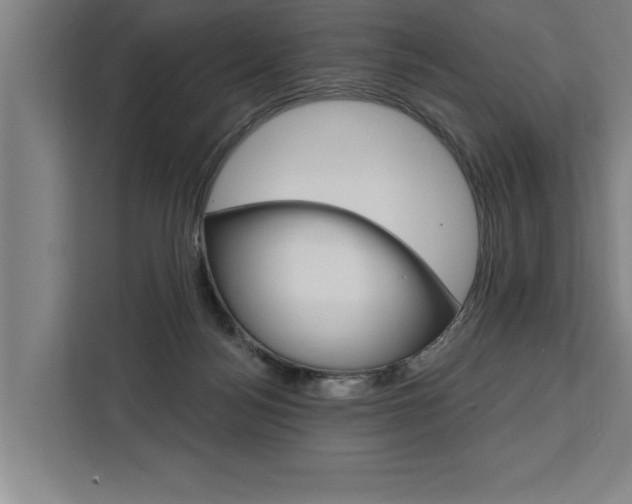 X0000111440172200907131028