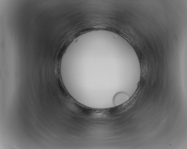 X0000111440175200907131028