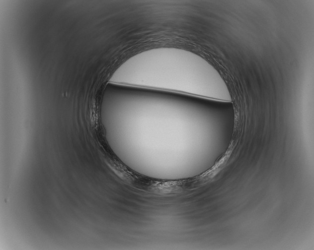 X0000111440186200907131028