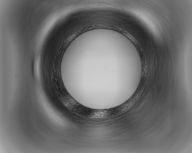 X0000111440189200907131028