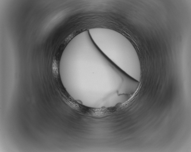 X0000111440191200907131028