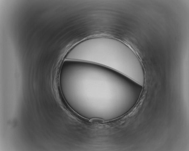 X0000111440193200907131027