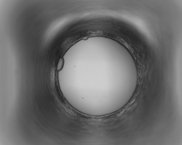 X0000111440194200907131027