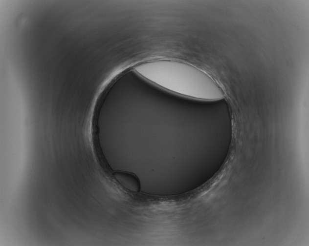 X0000111440196200907131027