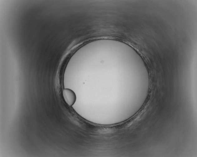 X0000111440198200907131027