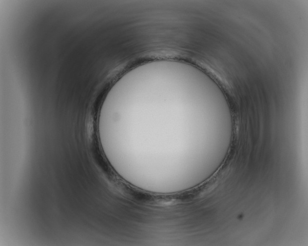 X0000111440206200907131027