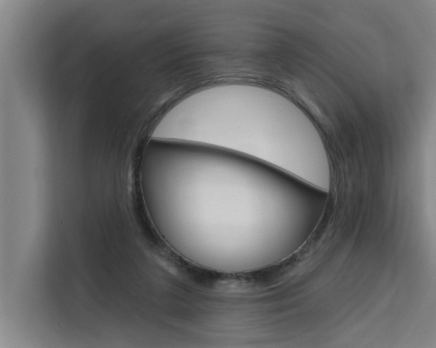 X0000111440211200907131027