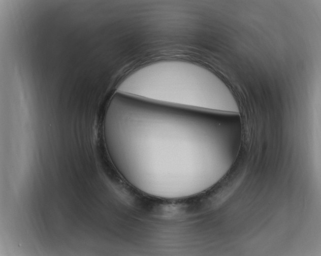 X0000111440216200907131027
