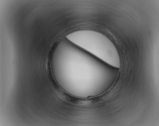X0000111440217200907131027