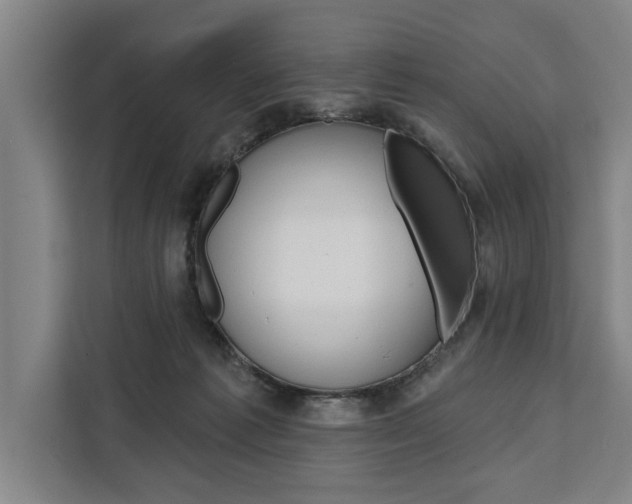 X0000111440221200907131027