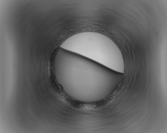 X0000111440223200907131027