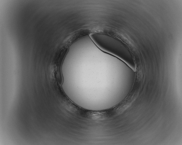 X0000111440229200907131027