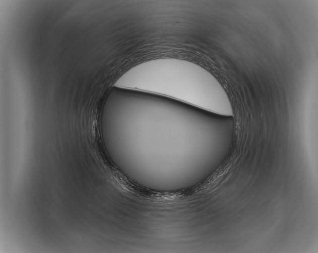 X0000111440235200907131027