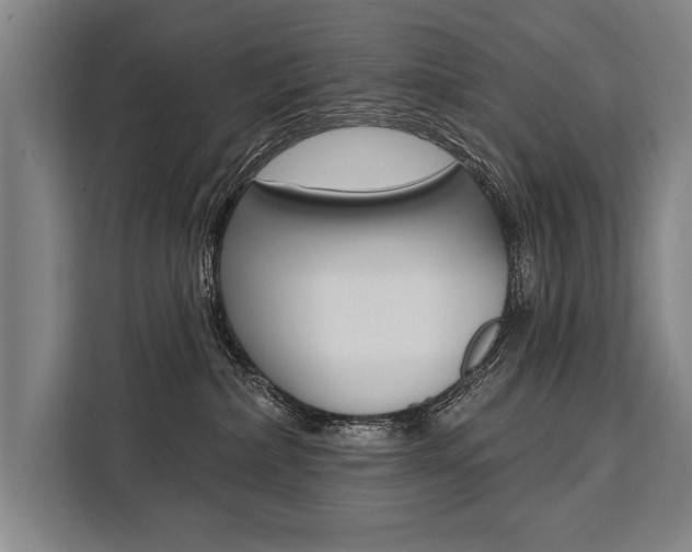 X0000111440236200907131027